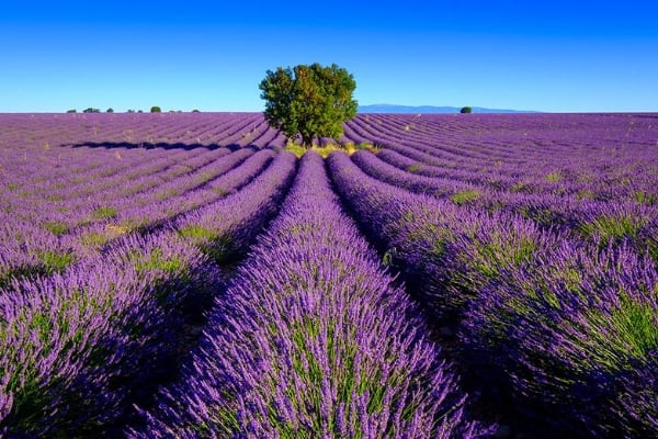 Copie-de-Sans-titre-19