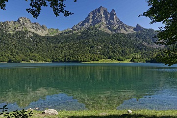 lac-bious