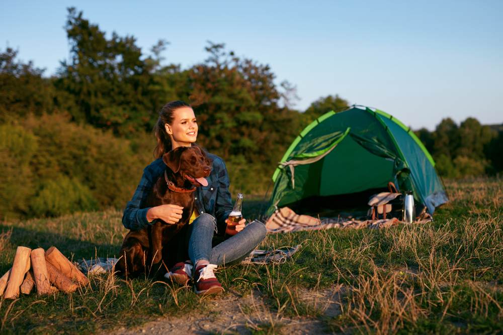 Quels sont les campings acceptant les animaux-2