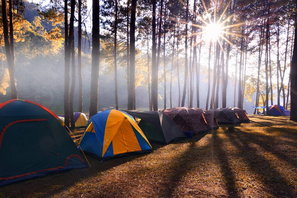 Quels sont les campings les plus originaux en France ?-1