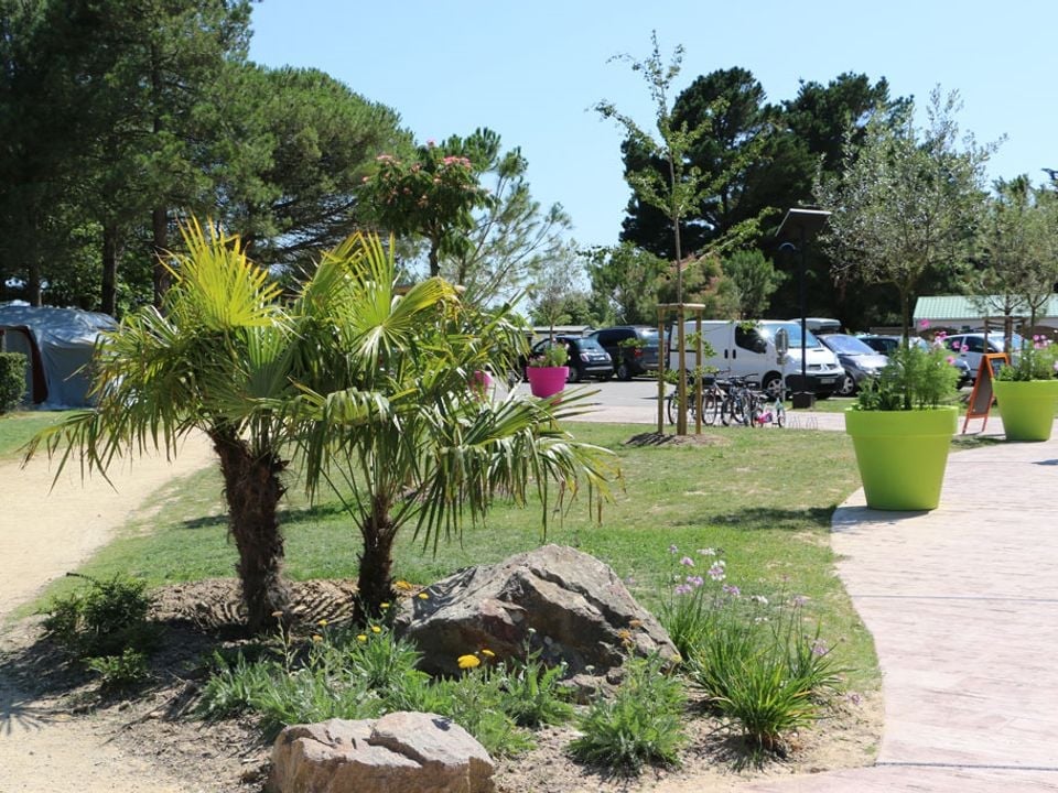 Un camping de luxe offre-t-il des services de transport privés ?