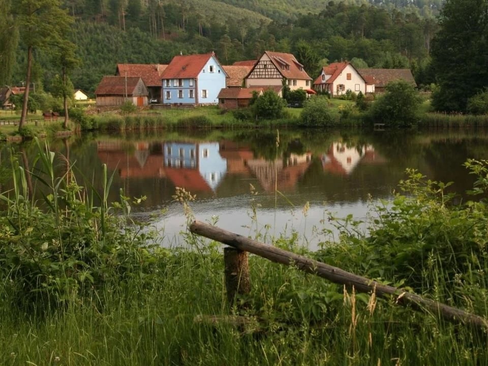 Existe-t-il des destinations nature idéales pour un camping avec son chien ?