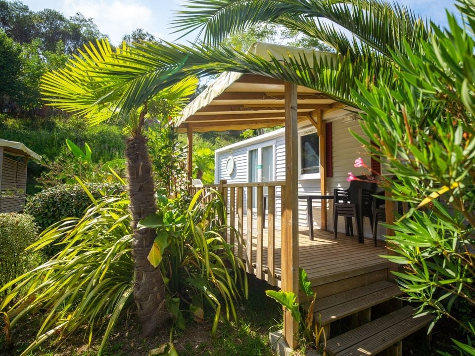 Peut-on partir en camping avec son chien quelle que soit sa race ?