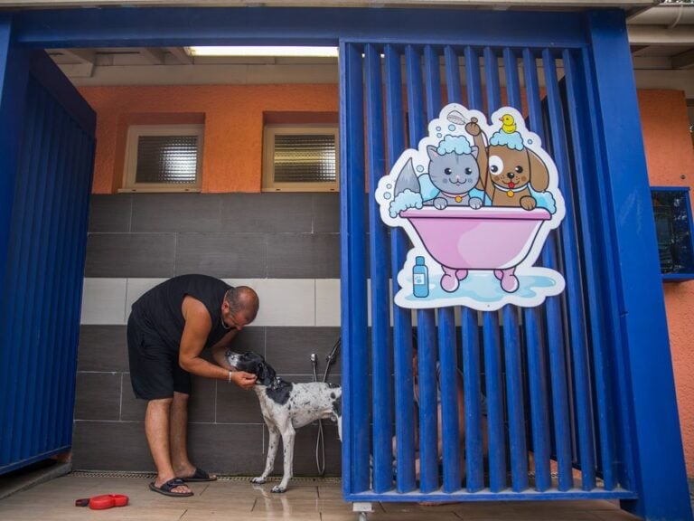 Animaux acceptés