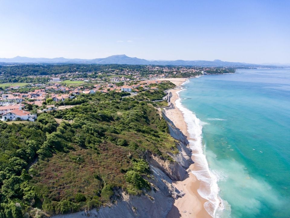 Peut-on facilement trouver des campings acceptant les chiens en bord de mer ?