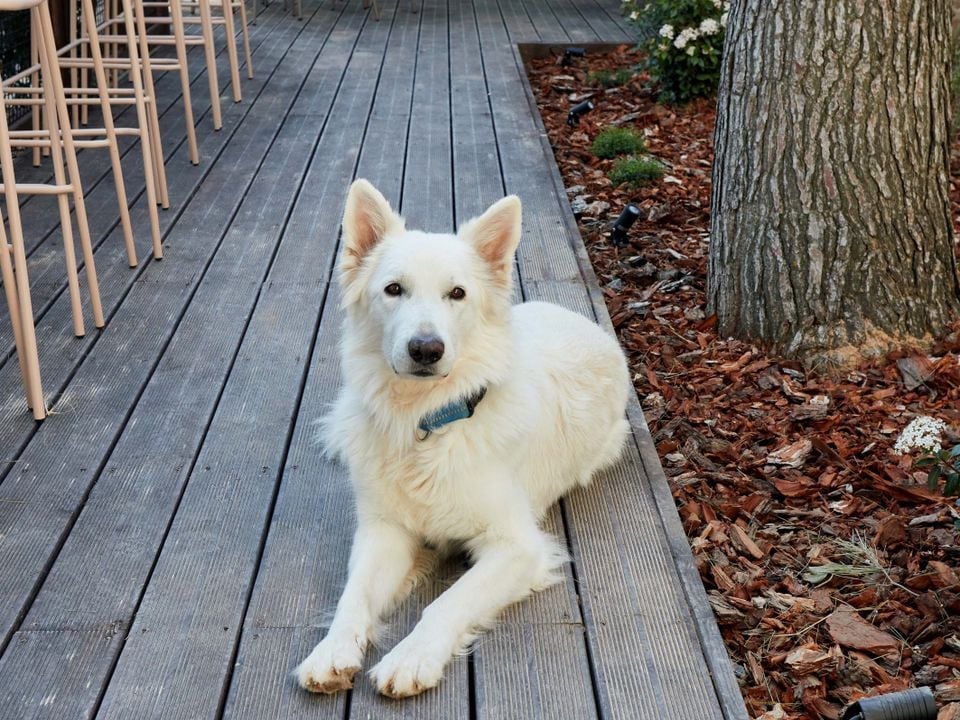Le printemps est-il idéal pour un camping en Espagne ?