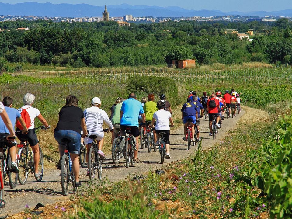 Peut-on faire des excursions depuis un camping dans l’Hérault ?