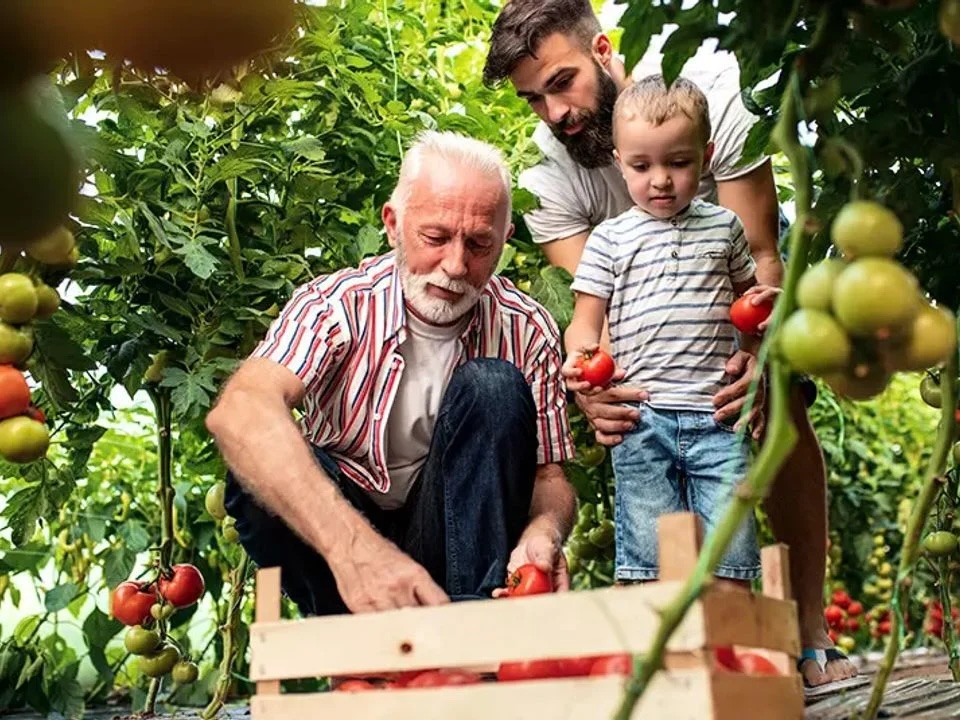 Le camping dans l’Hérault est-il idéal pour les retraités ?