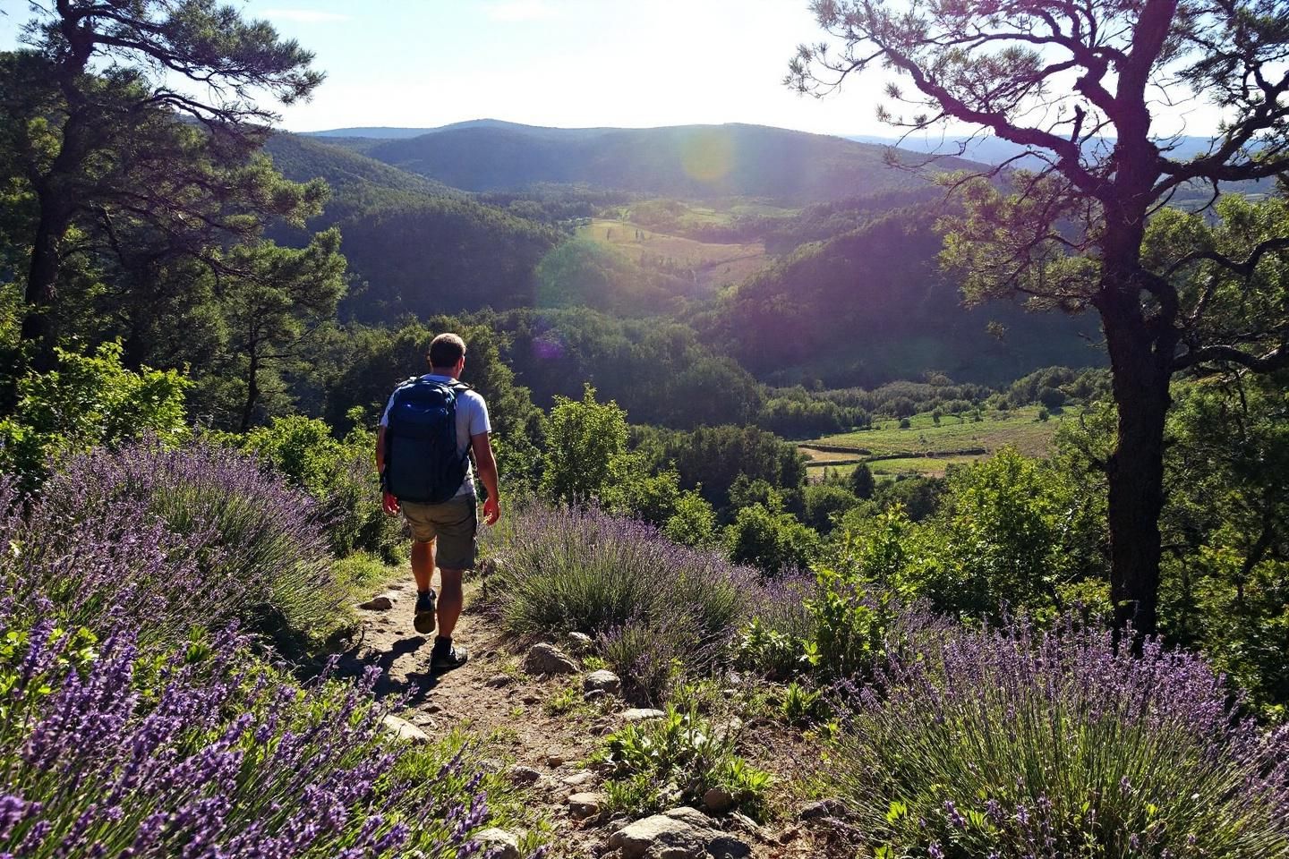 Quelles randonnées pédestres peut-on effectuer lors d'un séjour en camping dans le Luberon ?