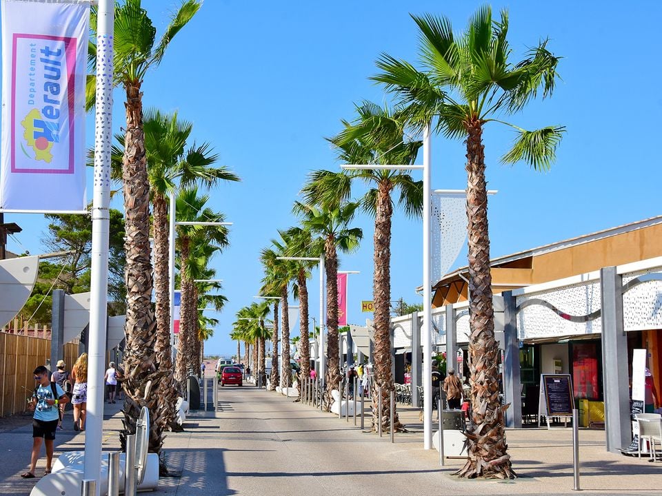 Comment organiser ses journées dans un camping avec parc aquatique ?