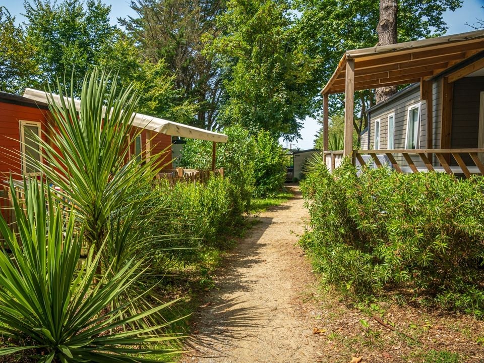 Est-il possible d'avoir le Wi-Fi gratuit dans un camping pas cher ?