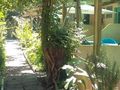 BUNGALOW 4 personnes - T1