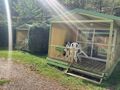 BUNGALOW 5 personnes - 4/5 personnes - DécliK