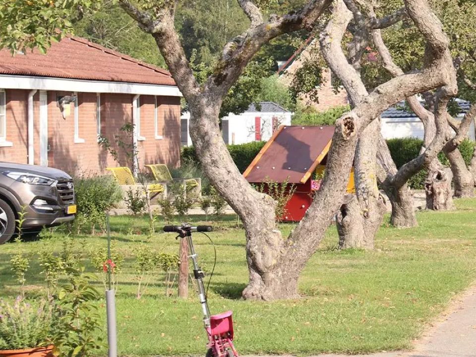 Siblu Camping In de Bongerd Zélande - Oostkapelle visuel 5/10
