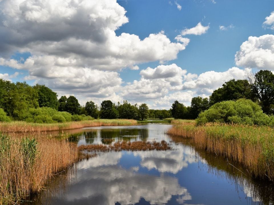 Camping de Binnenvaart photo 4