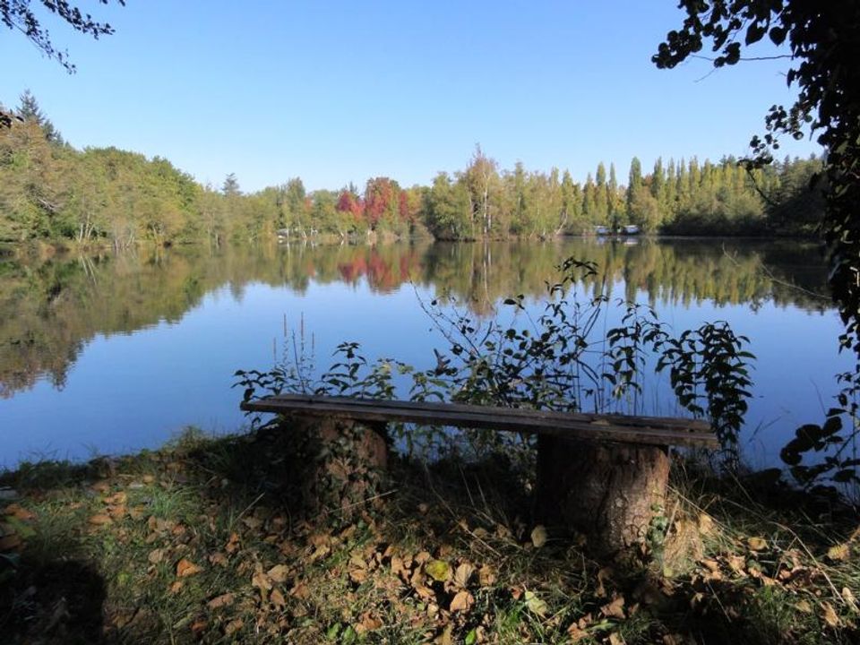 Camping Sunelia l'Etang de Sologne Grand Centre - Nouan-le-Fuzelier visuel 6/10