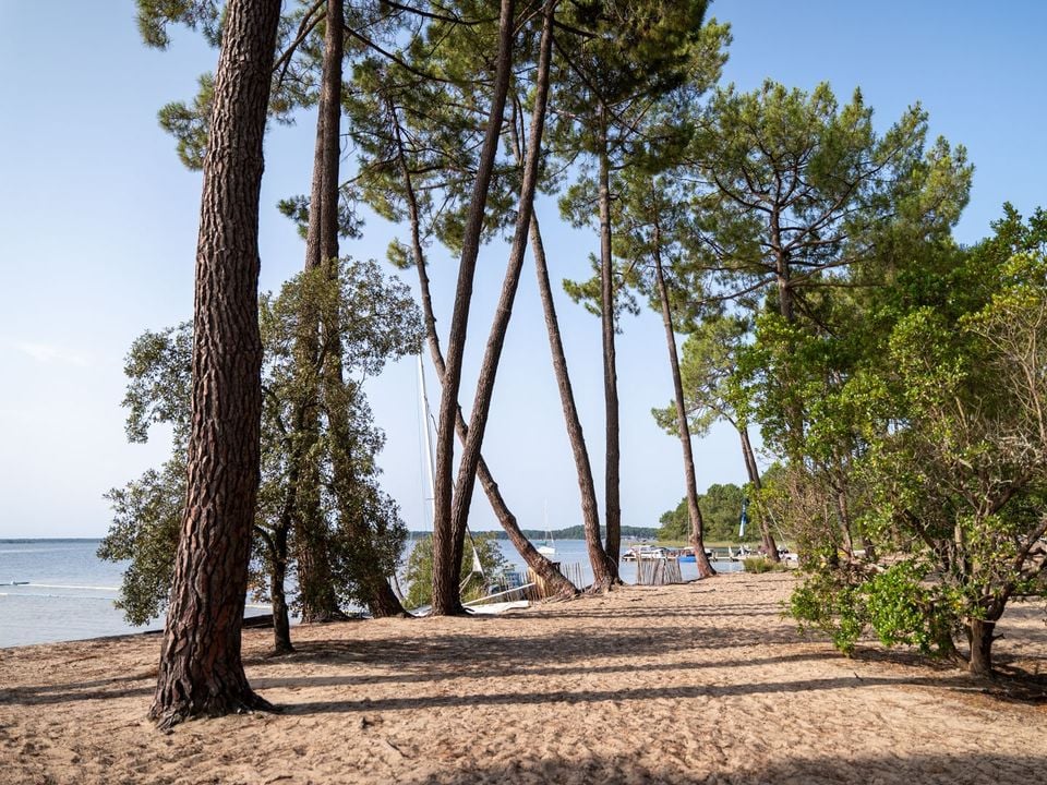 Camping Le Tedey Aquitaine - Lacanau visuel 9/10