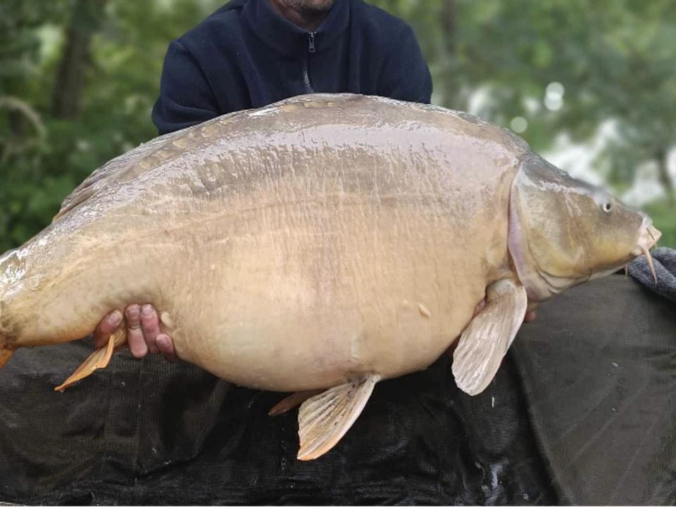 Le Parc de Launay Grand Centre - Souvigné visuel 10/10