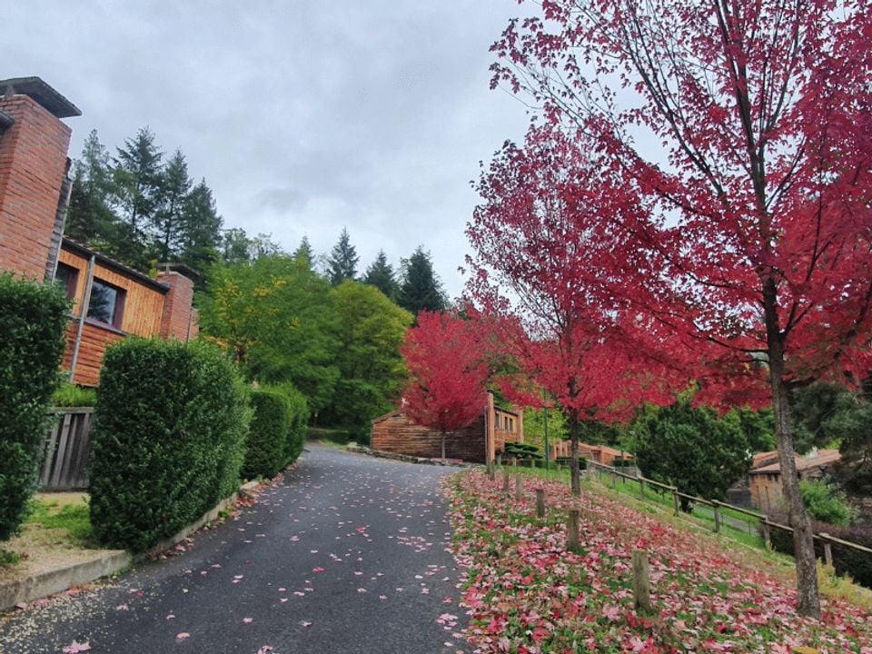 Olydea Vorey-sur-Arzon Auvergne - Vorey visuel 7/17