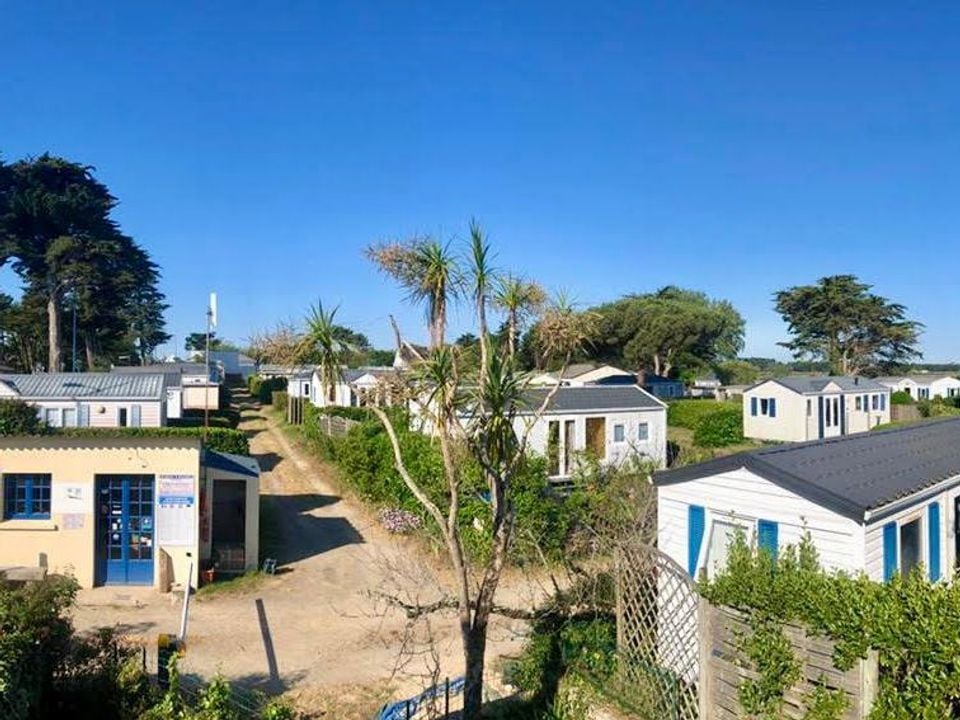 Camping Le Bois d'Amour photo 4