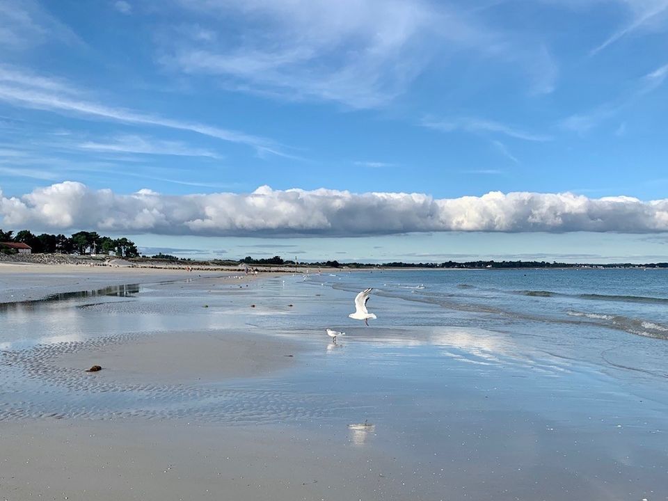 France - Bretagne - Île Tudy - Camping Le Bois d'Amour 2*