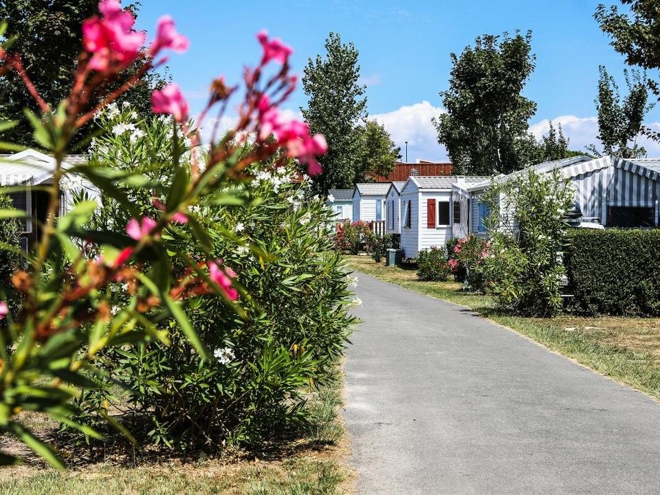 Camping maeva Club Les Dinosaures, 4* - 71