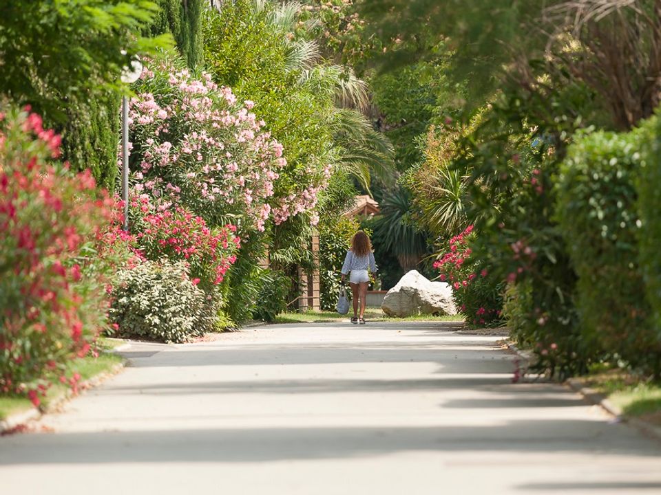 France - Méditerranée Ouest - Argelès sur Mer - Camping Le Méditerranée 5*