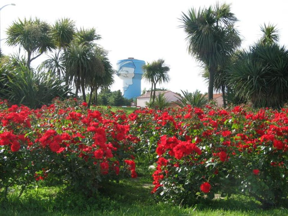 France - Méditerranée Ouest - Sainte Marie la Mer (66) - Camping Le Sainte Marie 4*