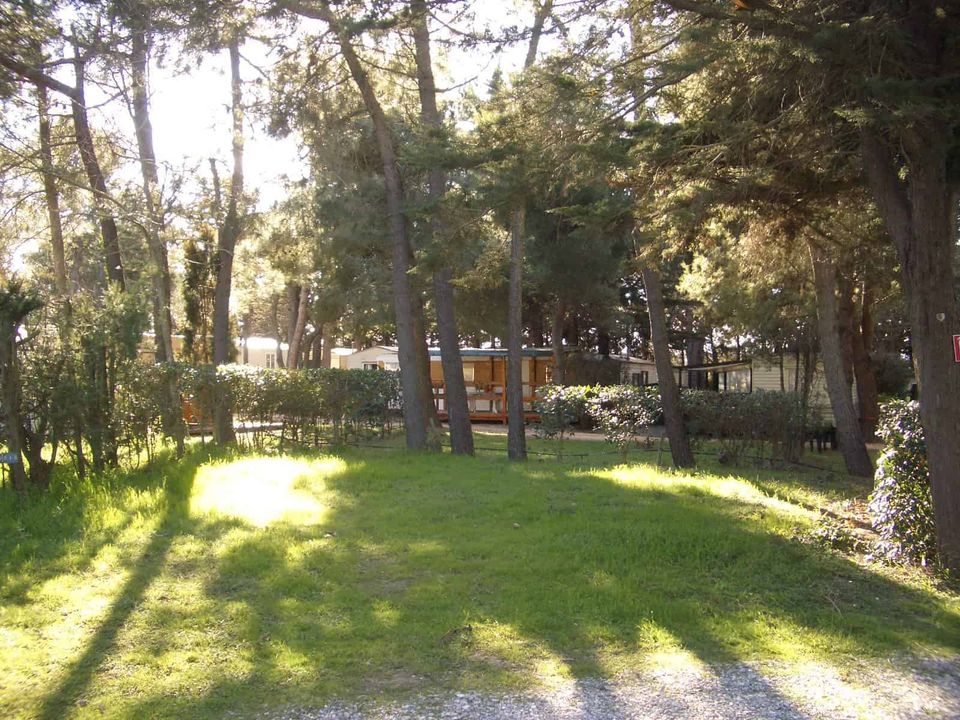 France - Méditerranée Ouest - Sainte Marie la Mer (66) - Camping Le Sainte Marie 4*