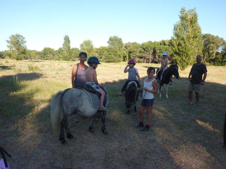 France - Méditerranée Ouest - Sainte Marie la Mer (66) - Camping Le Sainte Marie 4*