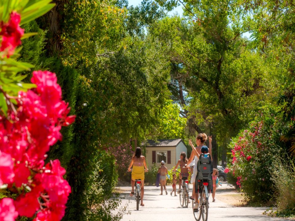 France - Sud Est et Provence - La Roque d'Anthéron - Camping Domaine des Iscles 4*