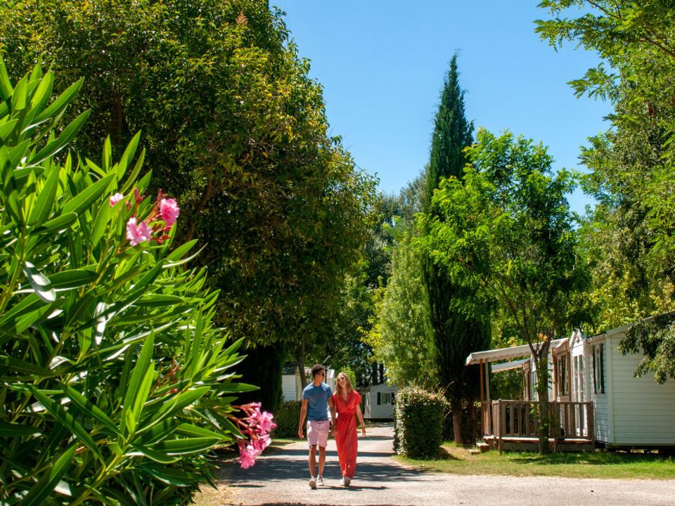 France - Sud Est et Provence - La Roque d'Anthéron - Camping Domaine des Iscles 4*