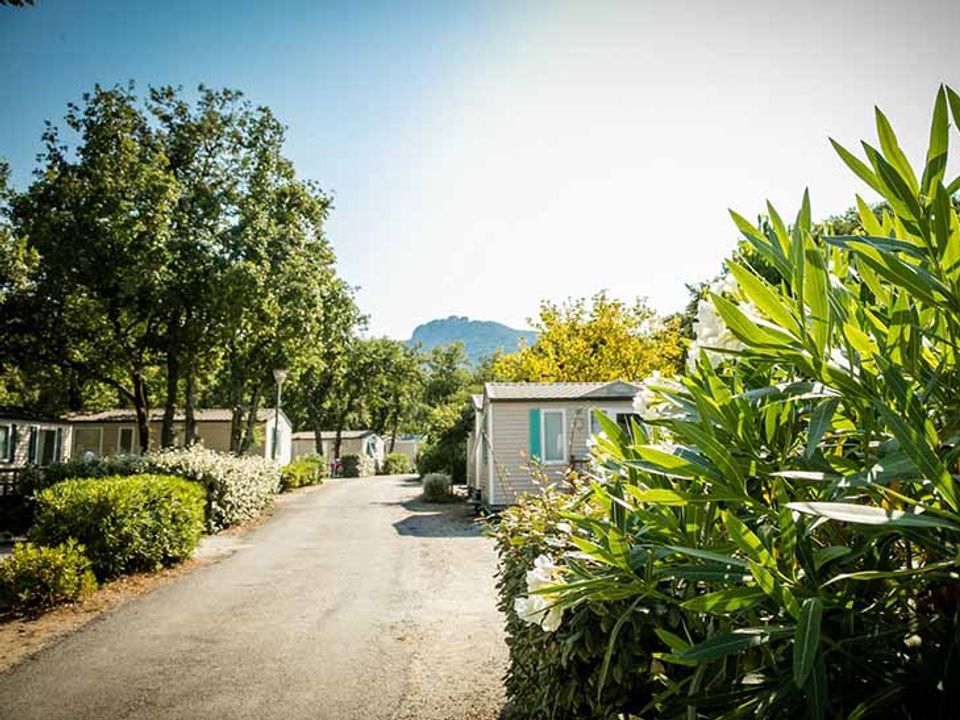 France - Méditerranée Ouest - Argelès sur Mer - Camping Le Bois Fleuri 5*