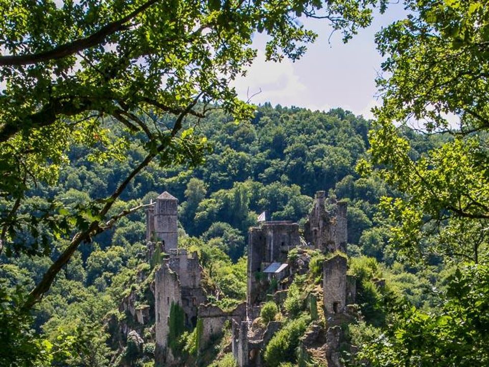 France - Limousin - Monceaux sur Dordogne - Camping Au Soleil d'Oc 4*