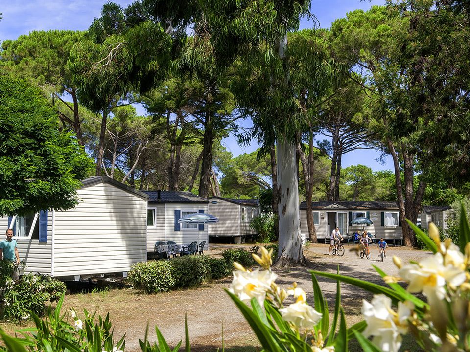 France - Corse - Castellare di Casinca - Camping Domaine d'Anghione 4*