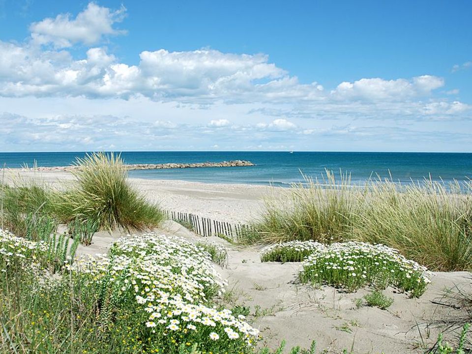 France - Méditerranée Ouest - Vic la Gardiole - Camping Les Salins de la Gardiole (Anciennement L'Europe), 4*