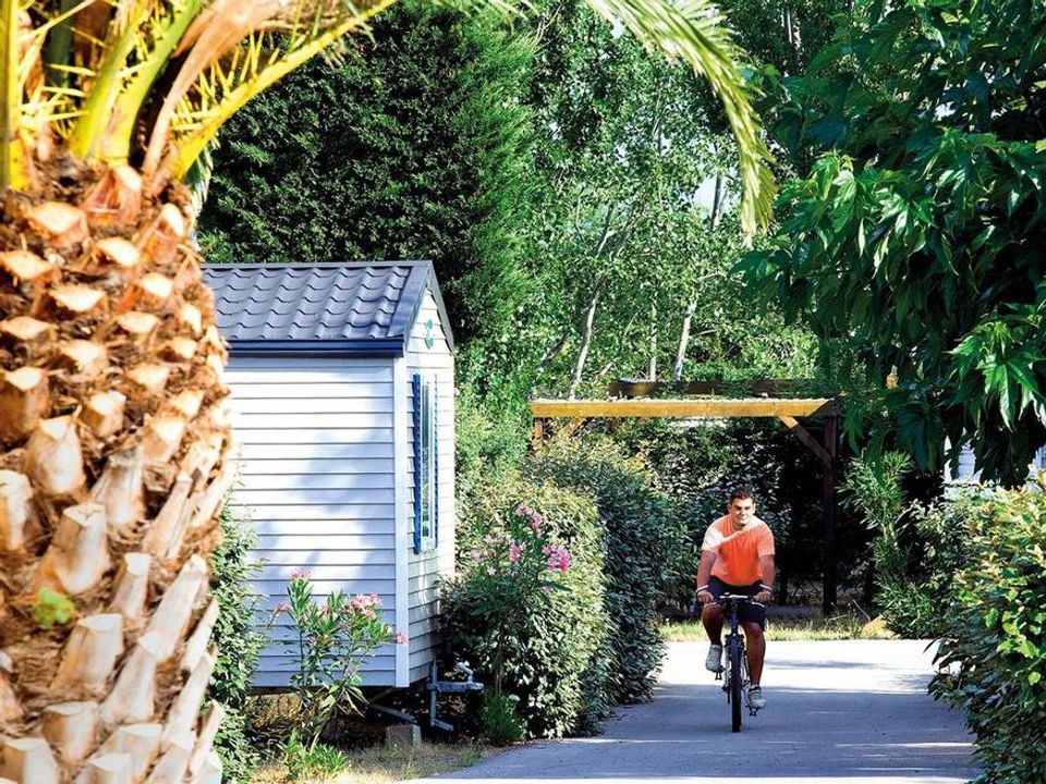 France - Méditerranée Ouest - Vic la Gardiole - Camping Les Salins de la Gardiole (Anciennement L'Europe), 4*