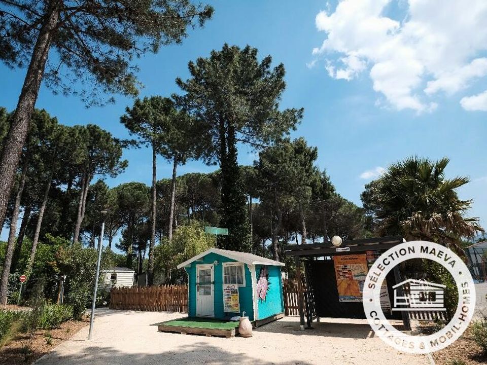 France - Méditerranée Ouest - Argelès sur Mer - Camping Taxo les Pins 4*