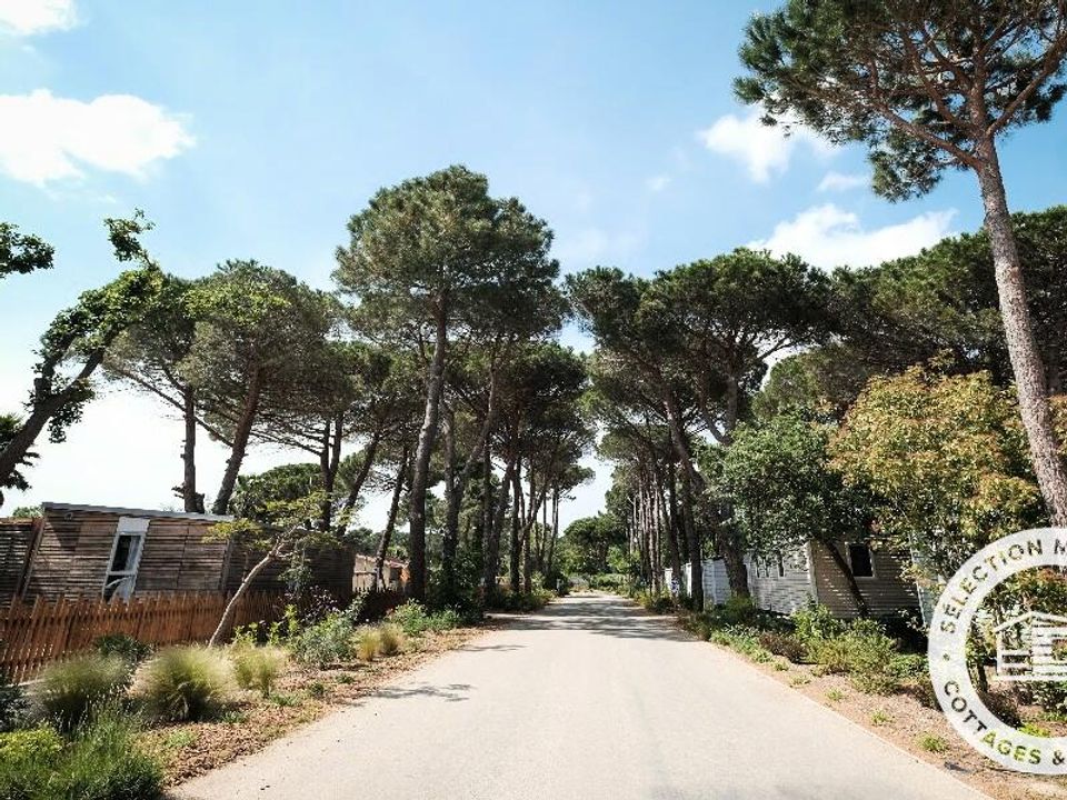 France - Méditerranée Ouest - Argelès sur Mer - Camping Taxo les Pins 4*