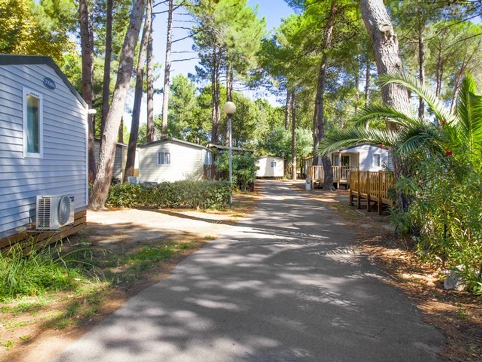 France - Méditerranée Ouest - Argelès sur Mer - Camping Taxo les Pins 4*