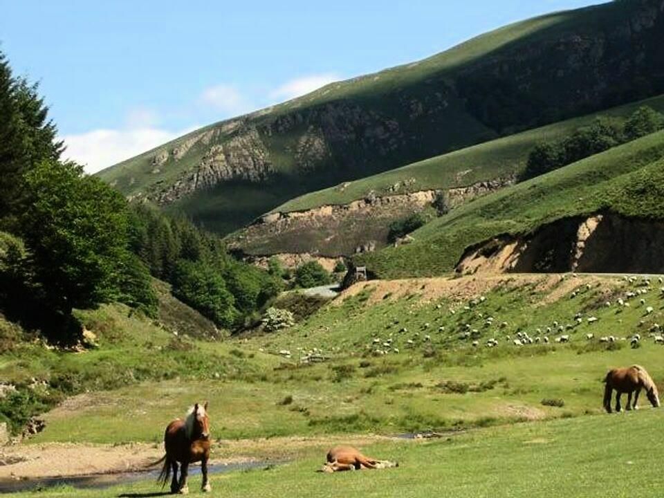 France - Pyrénées - Saint Jean Pied de Port - Camping Europ Camping 4* - Vente Flash