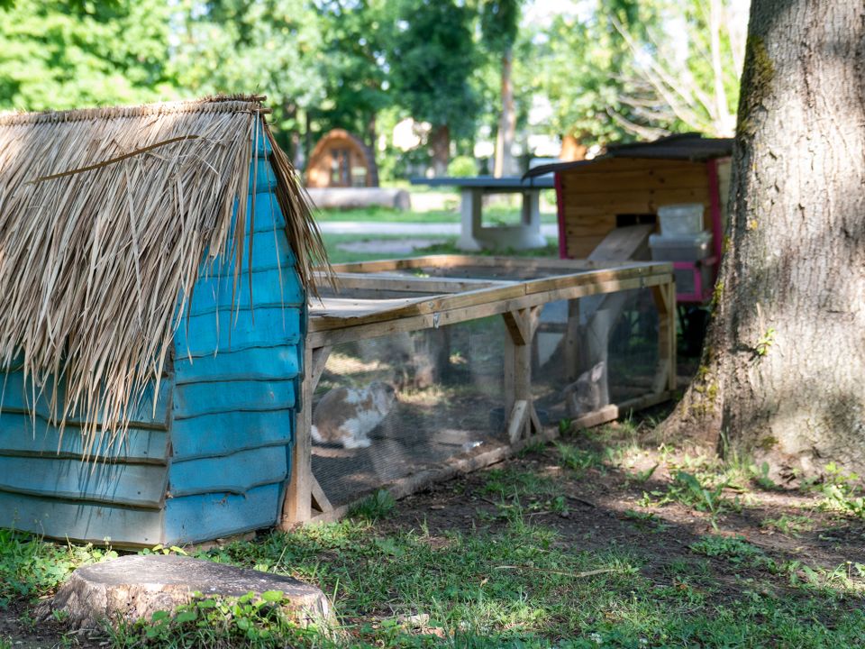 France - Alsace Lorraine Grand Est - Bar sur Aube - Camping Les Roulottes de Champagne