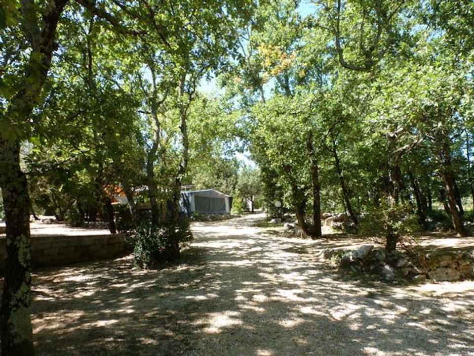 France - Languedoc - Barjac - Camping La Buissiere, 3*