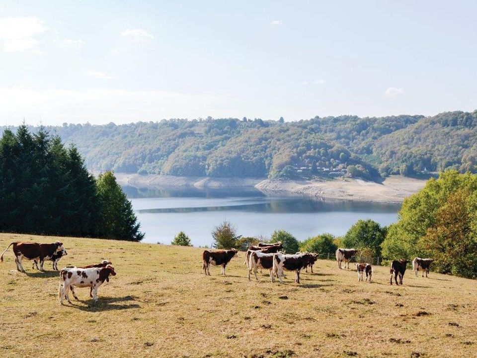 France - Auvergne - Beaulieu - Camping L'Air du Temps, 4*