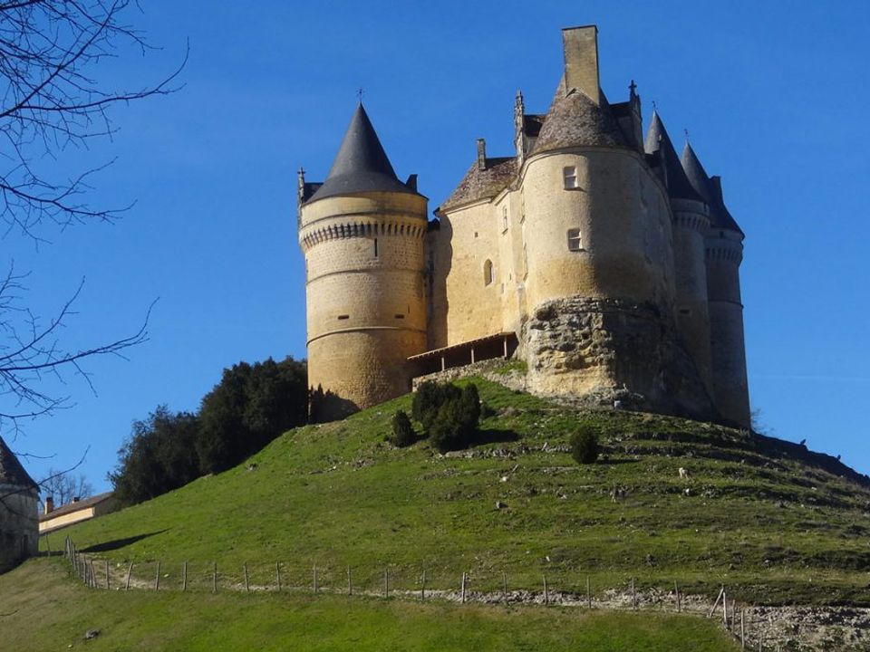 France - Poitou Loire - Beaumont sur Sarthe - Camping Domaine de la Colombière 3*