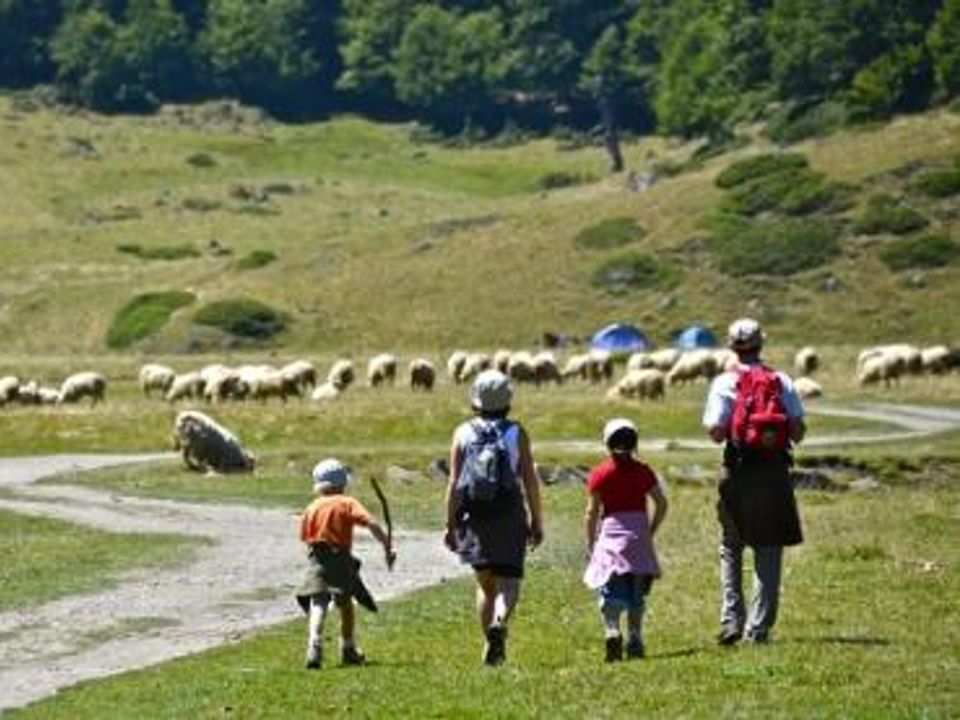 France - Pyrénées - Aramits - Camping Baretous Pyrénées 4*