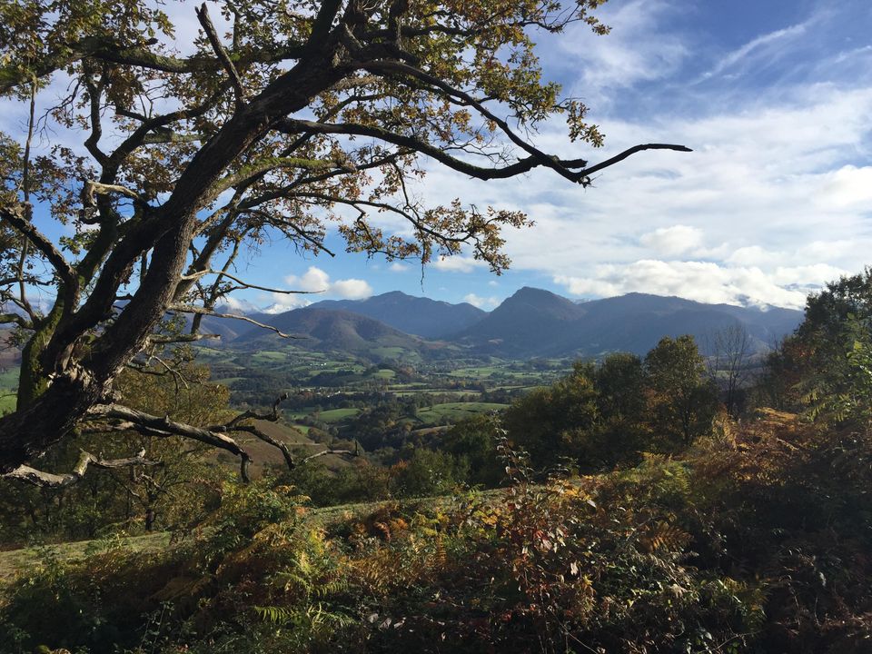 France - Pyrénées - Aramits - Camping Baretous Pyrénées 4*