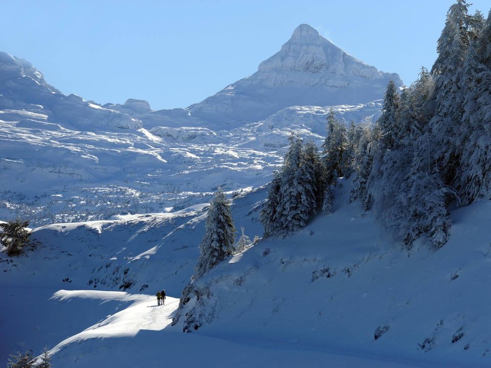 France - Pyrénées - Aramits - Camping Baretous Pyrénées 4*