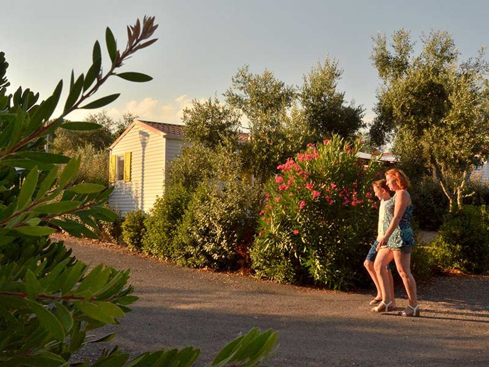 France - Méditerranée Ouest - Bessan - Camping Domaine de Sainte Véziane 4*