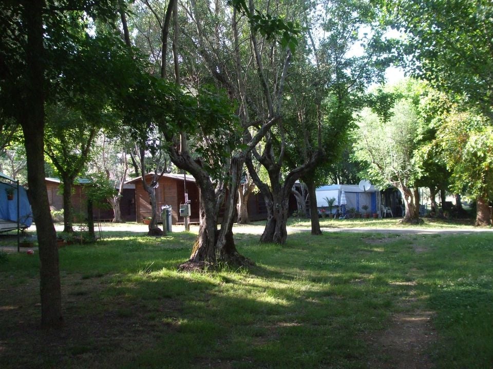 Azzurro Camping Village Toscane - Bracciano visuel 9/10